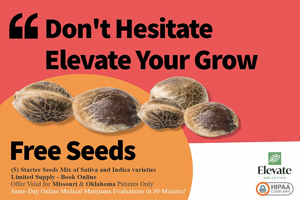 Image for Elevate Your Grow: Free Cannabis Seeds While Supplies Last