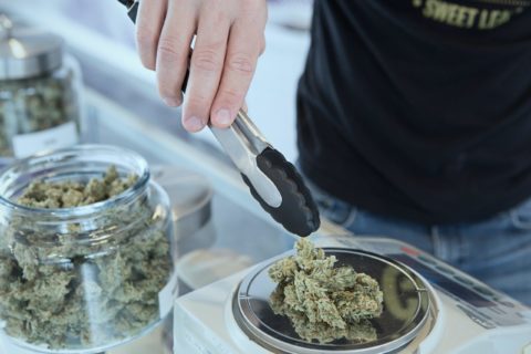 What to Do on Your First Visit to a Dispensary