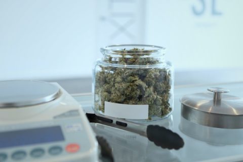 Get an Illinois Medical Cannabis Card and Save
