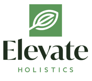 elevate services