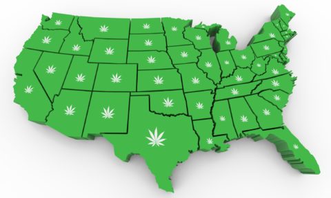 Illinois Cannabis Laws: What’s Legal?