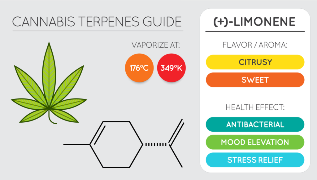 Guide to limonene effects, benefits, and more information on terpene.