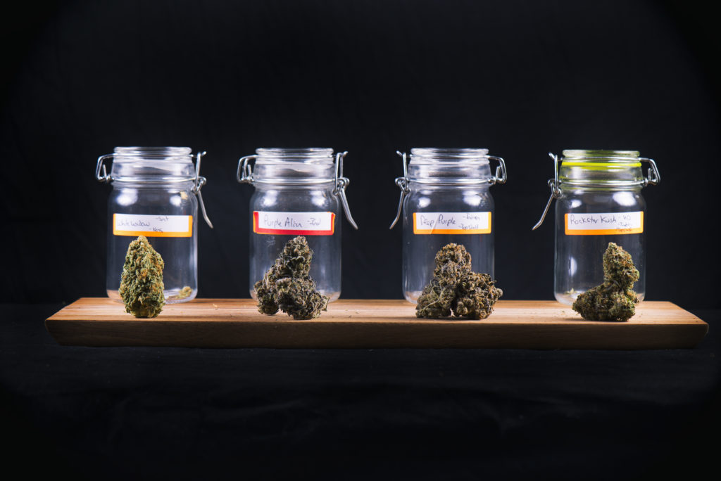 the best weed strains for summer