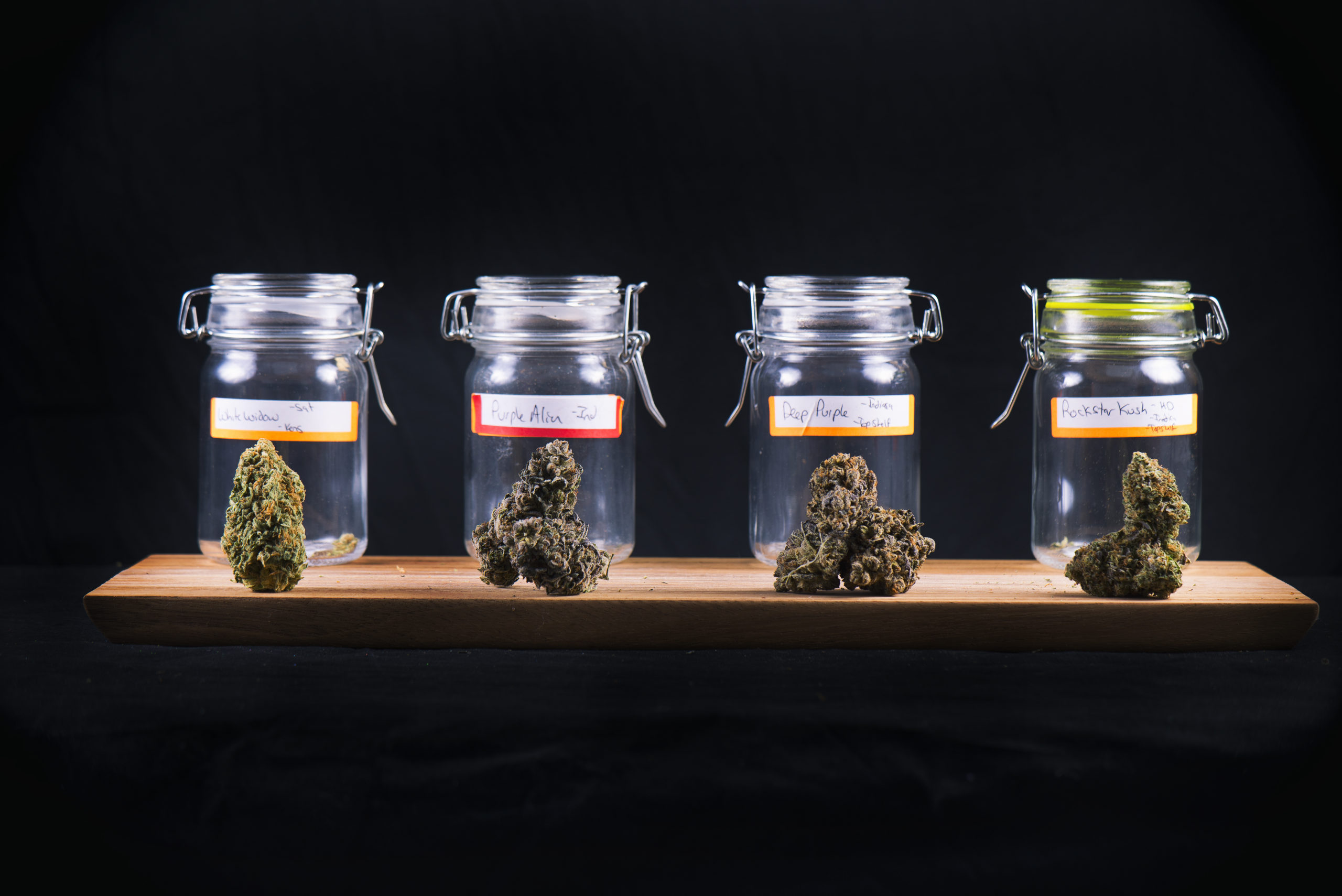 Image for The Best Weed Strains for You This Summer