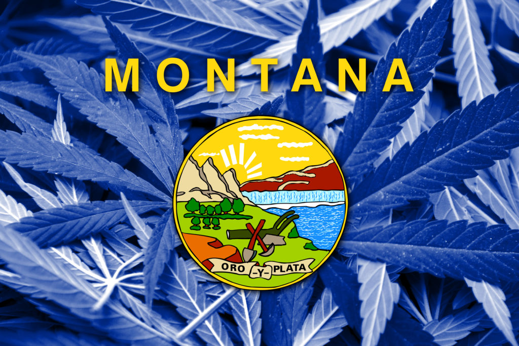 Montana medical marijuana laws