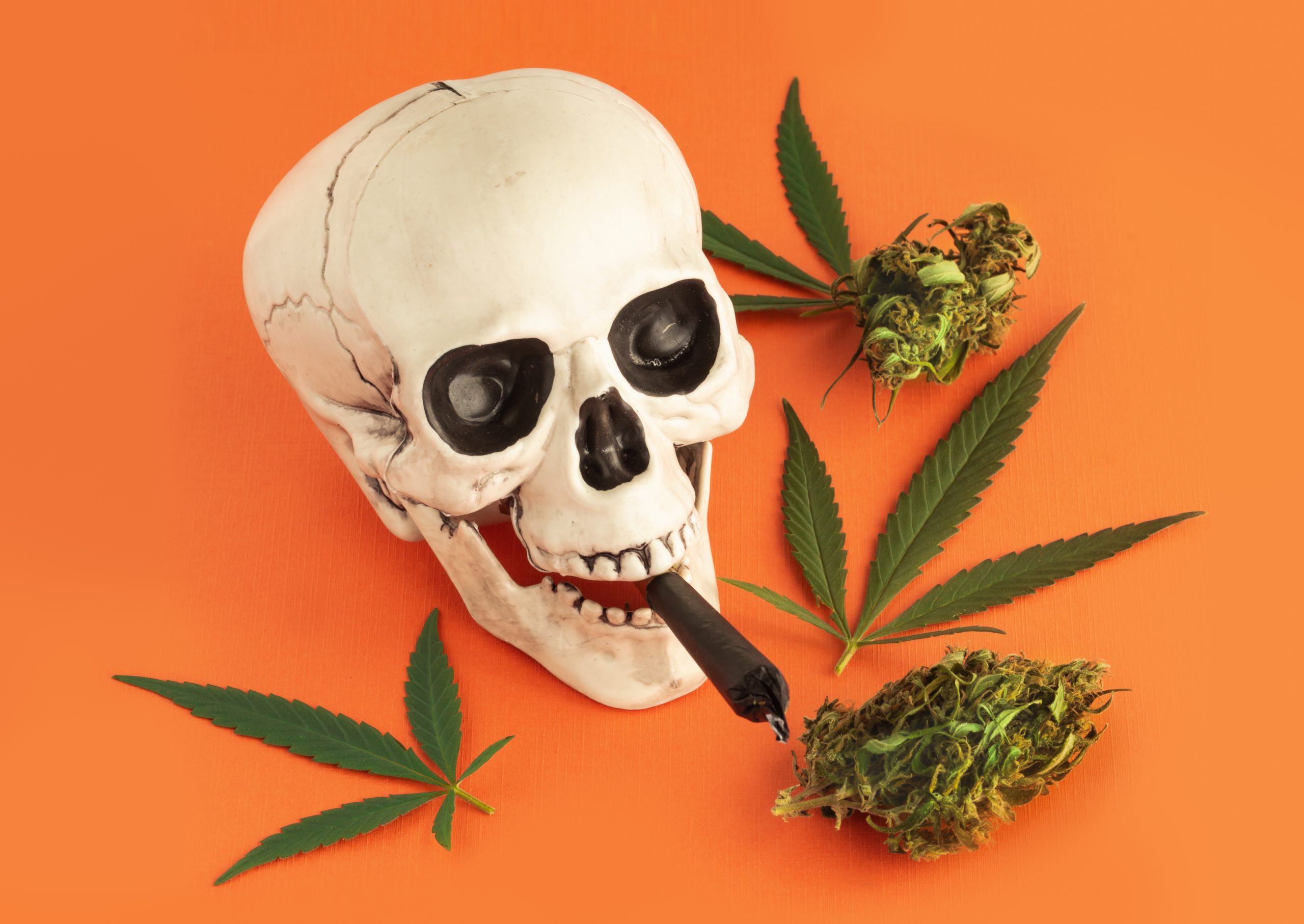 halloween weed strains