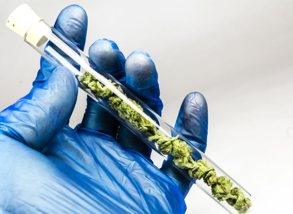 THC acetate; cannabis flower in test tube