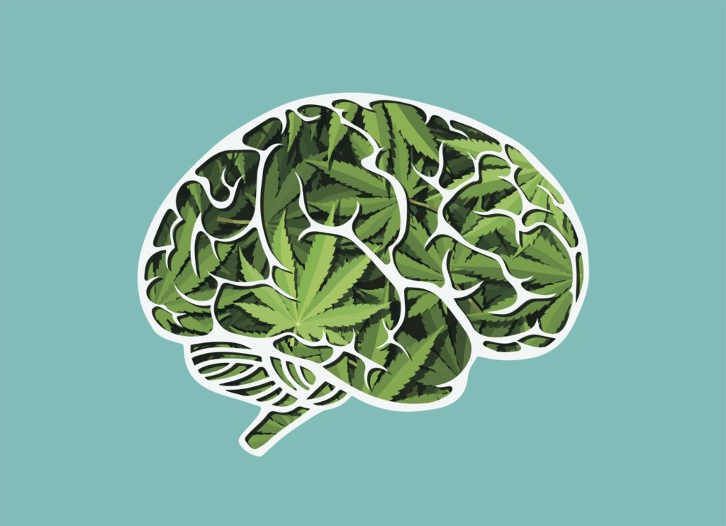 MIND; marijuana inside brain
