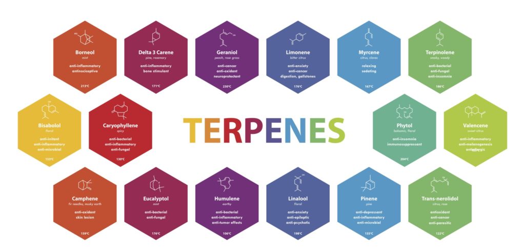 terpenes for anxiety
