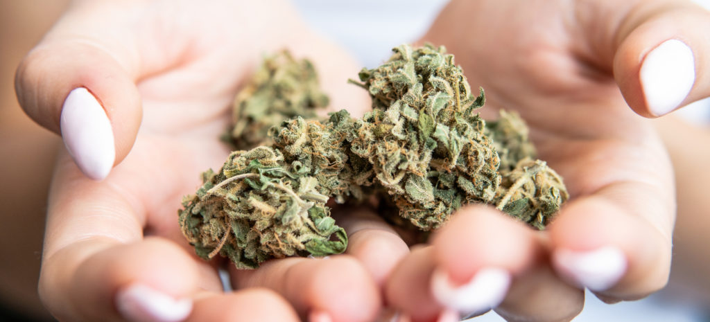 best cannabis strains; person with weed in hands
