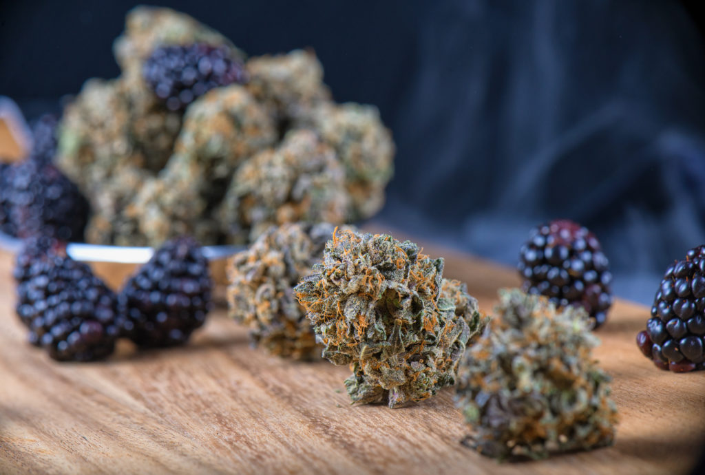 best cannabis strains; weed next to blueberries