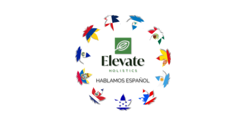 How to Translate Elevate Holistics’ Website