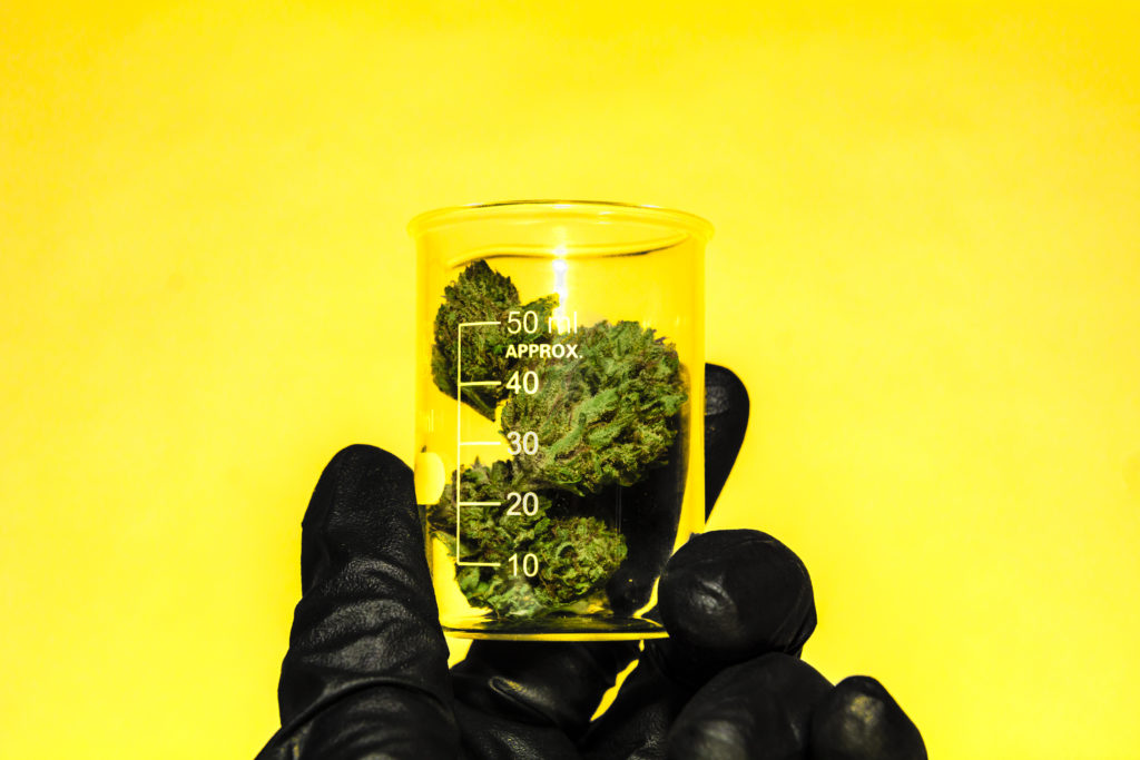 is delta 8 THC safe? cannabis flower in a jar