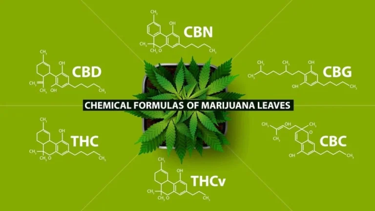Chemical Formulas of Marijuana Leaves