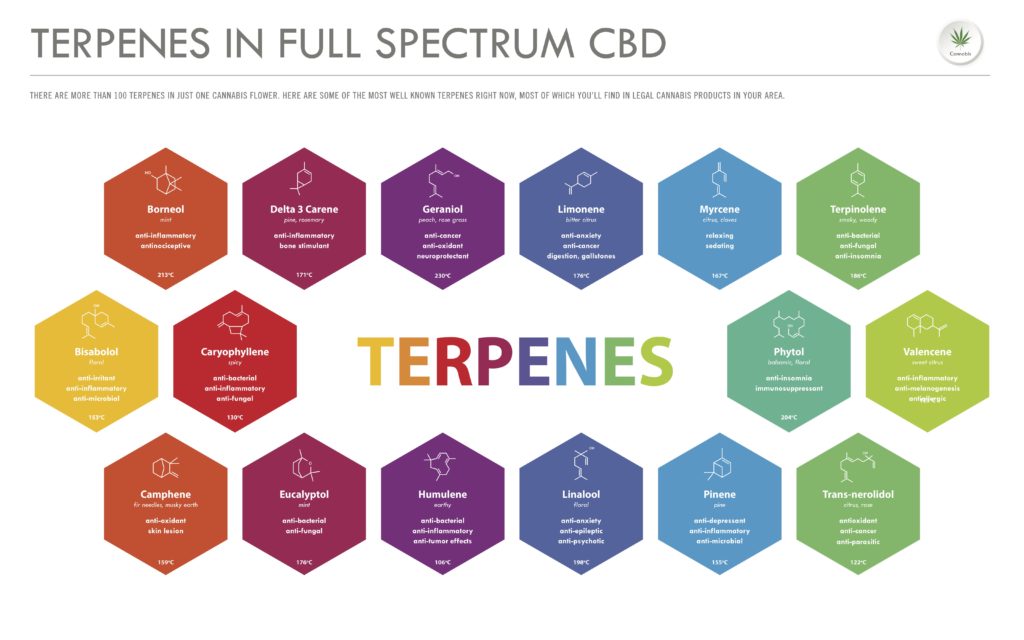 terpenes; cannabis acronyms 
