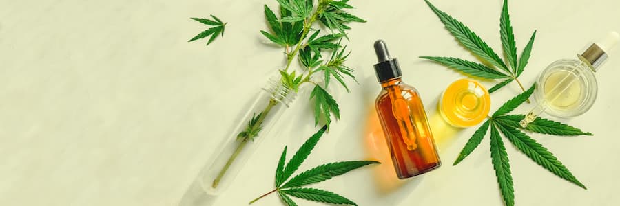 The Difference Between Cbd And Thc