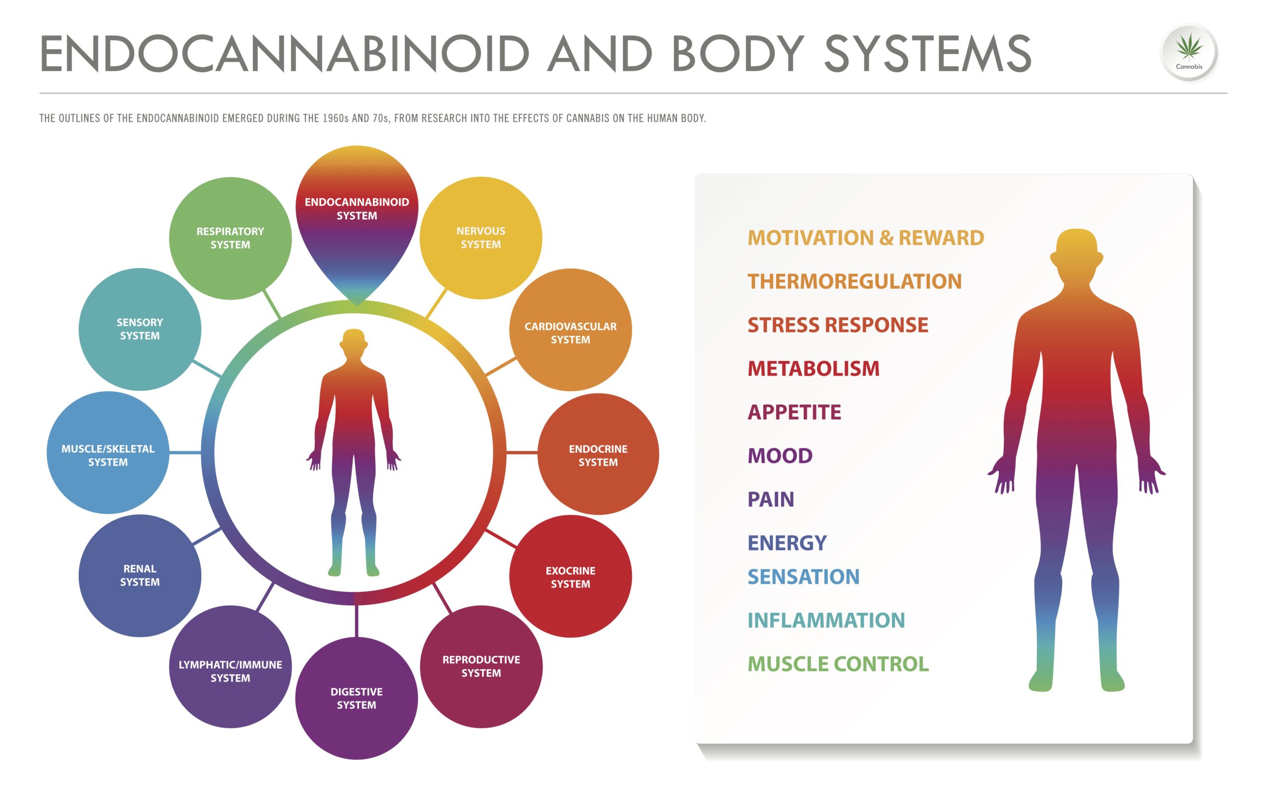 the endocannabinoid system and CBD