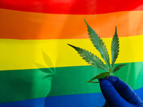 Exploring the History Behind Pride and Cannabis