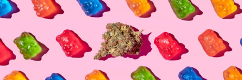 Why Don’t Edibles Work for Me?