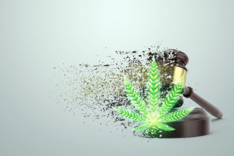 Decriminalization vs. Legalization: What it Means for Cannabis