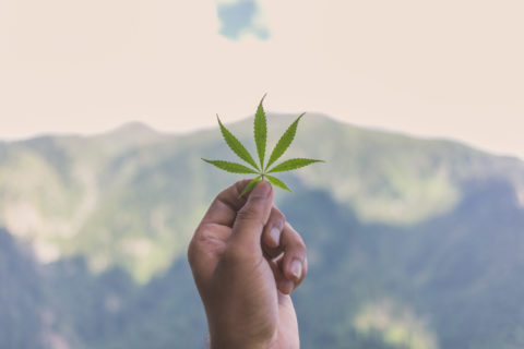 Is Medical Marijuana Legal in Arkansas?