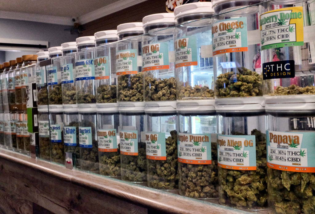 Medical Marijuana Dispensaries in Colorado