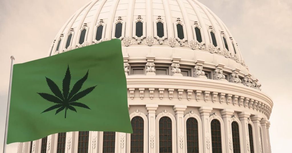 Washington DC marijuana laws