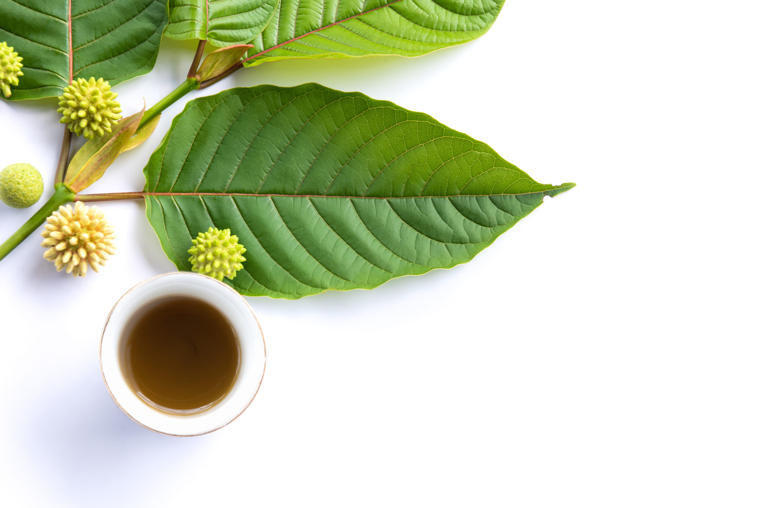 What Is Kratom And Is It Safe