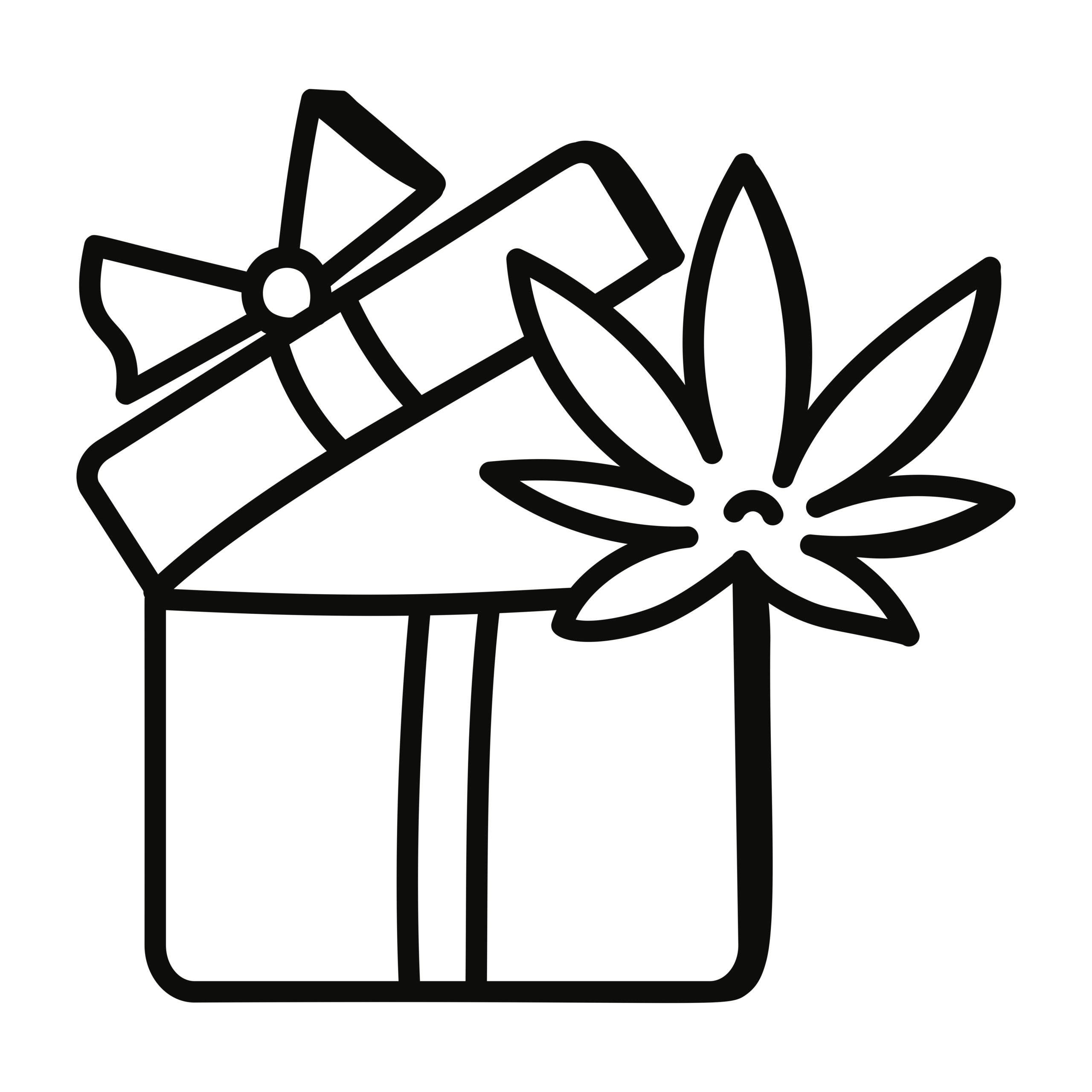 Cannabis Gift Guide
