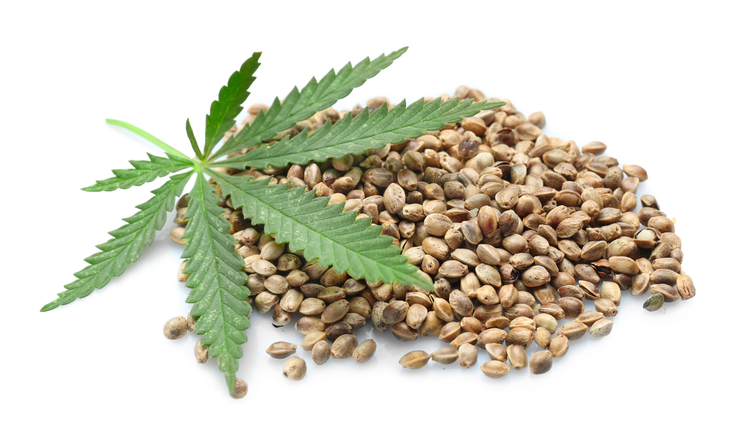 Are Weed Seeds Illegal In Missouri 