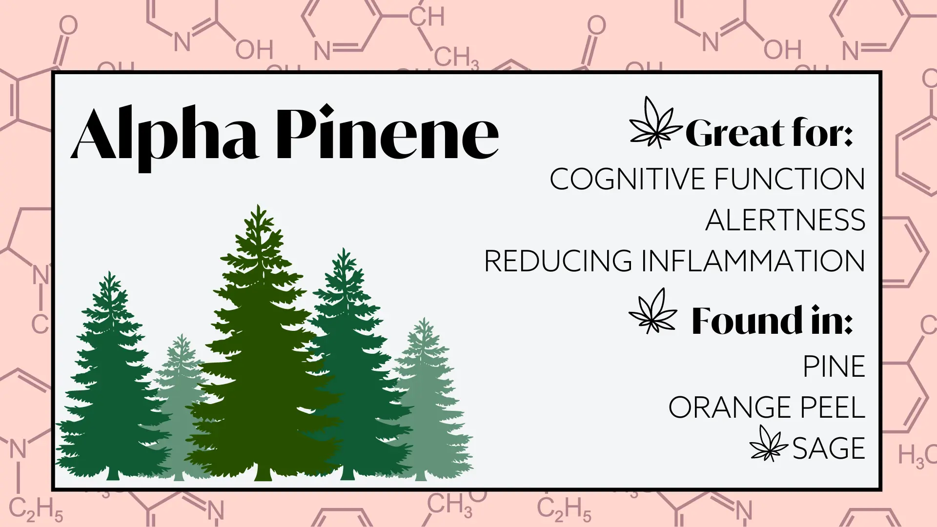 terpenes for energy and focus