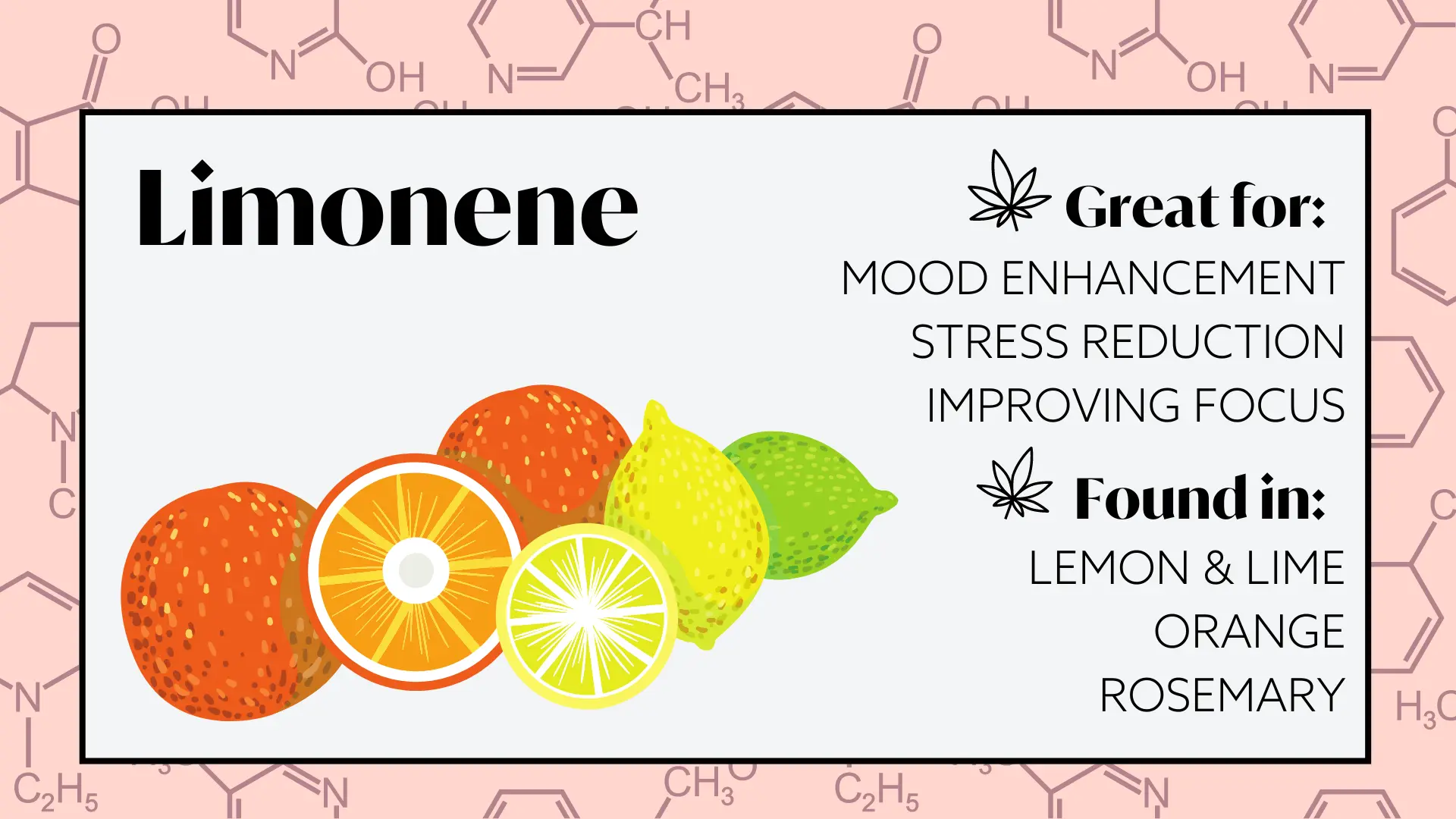 terpenes for energy and focus