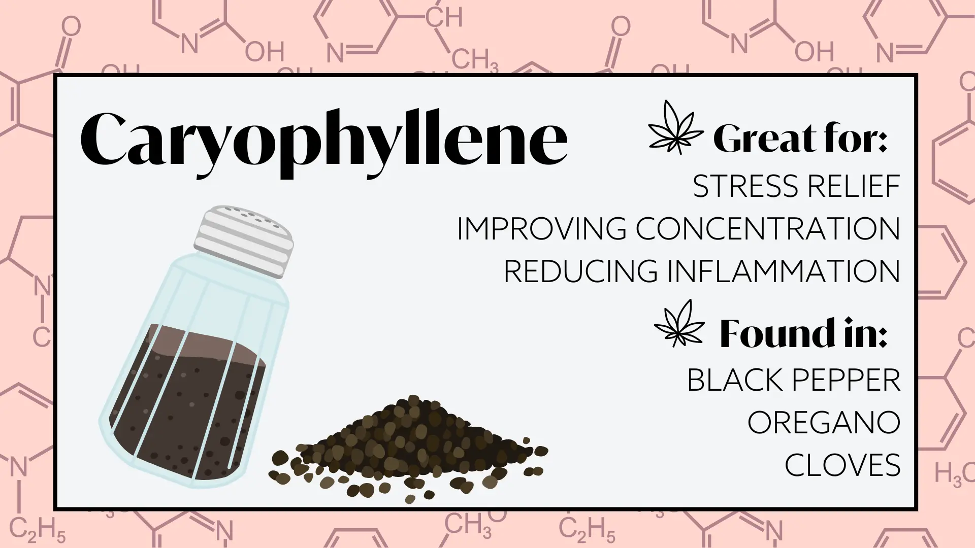 terpenes for energy and focus