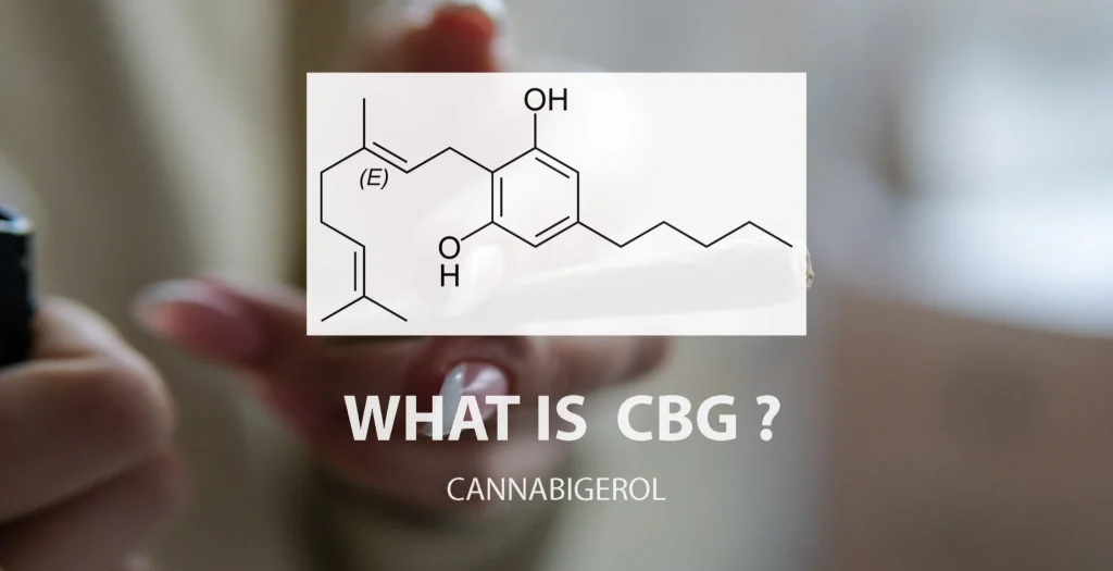What Is CBG (Cannabigerol)? Benefits & How It Works