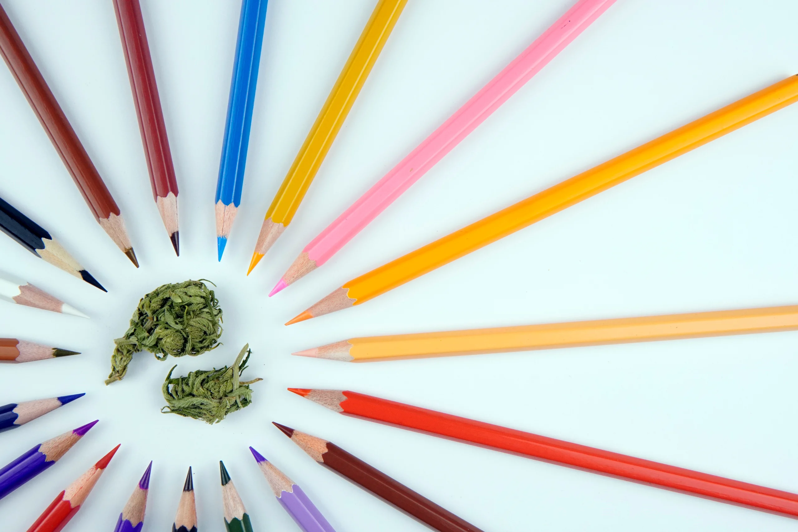 Cannabis and creativity