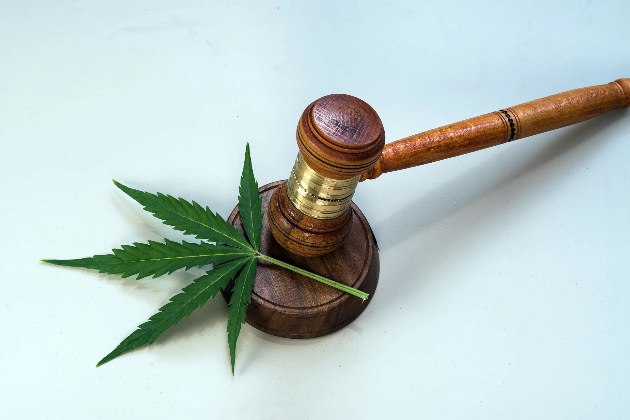 Gavel on marijuana leaf; How Much Weed Can You Buy in Oklahoma?