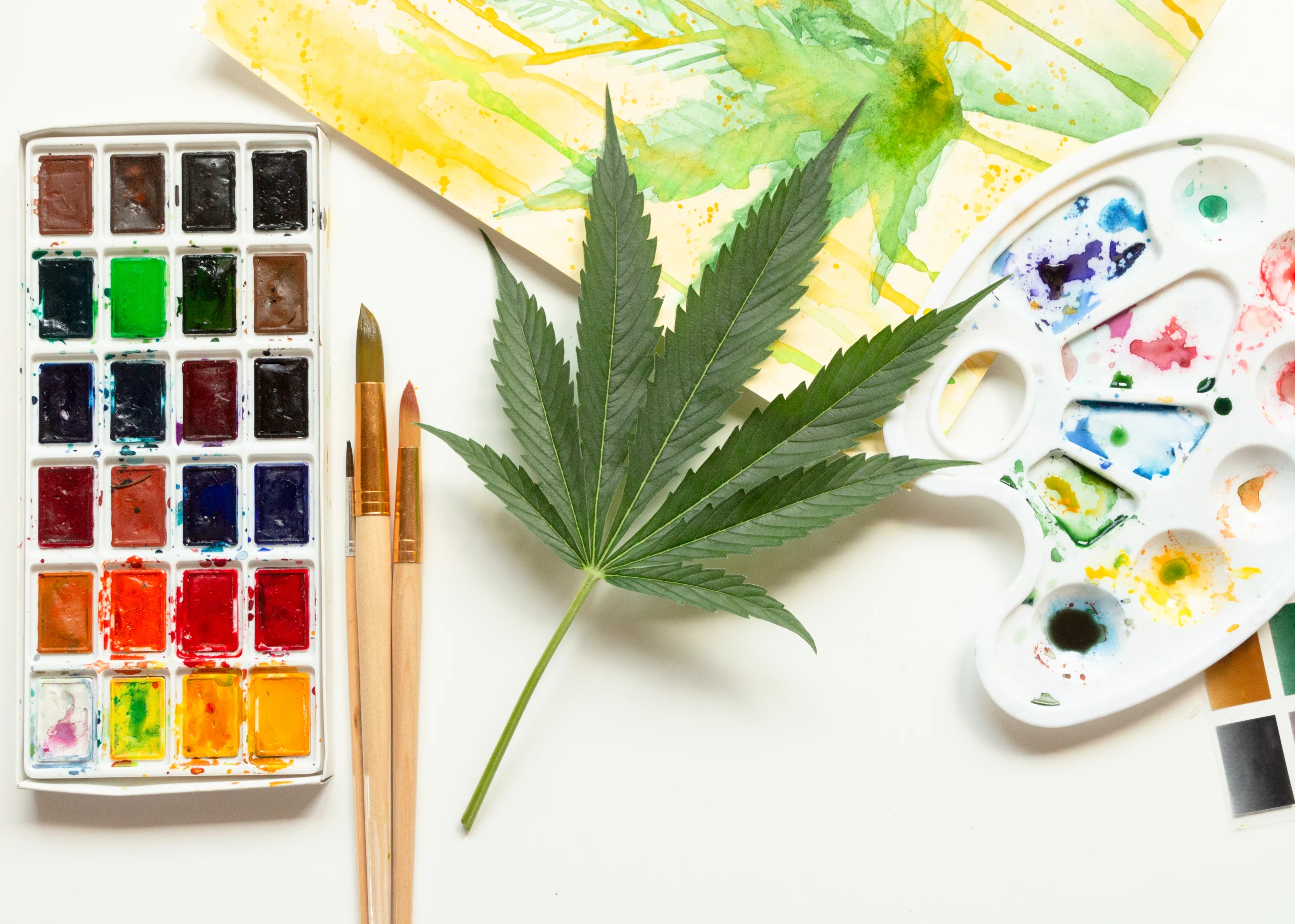 Cannabis and creativity