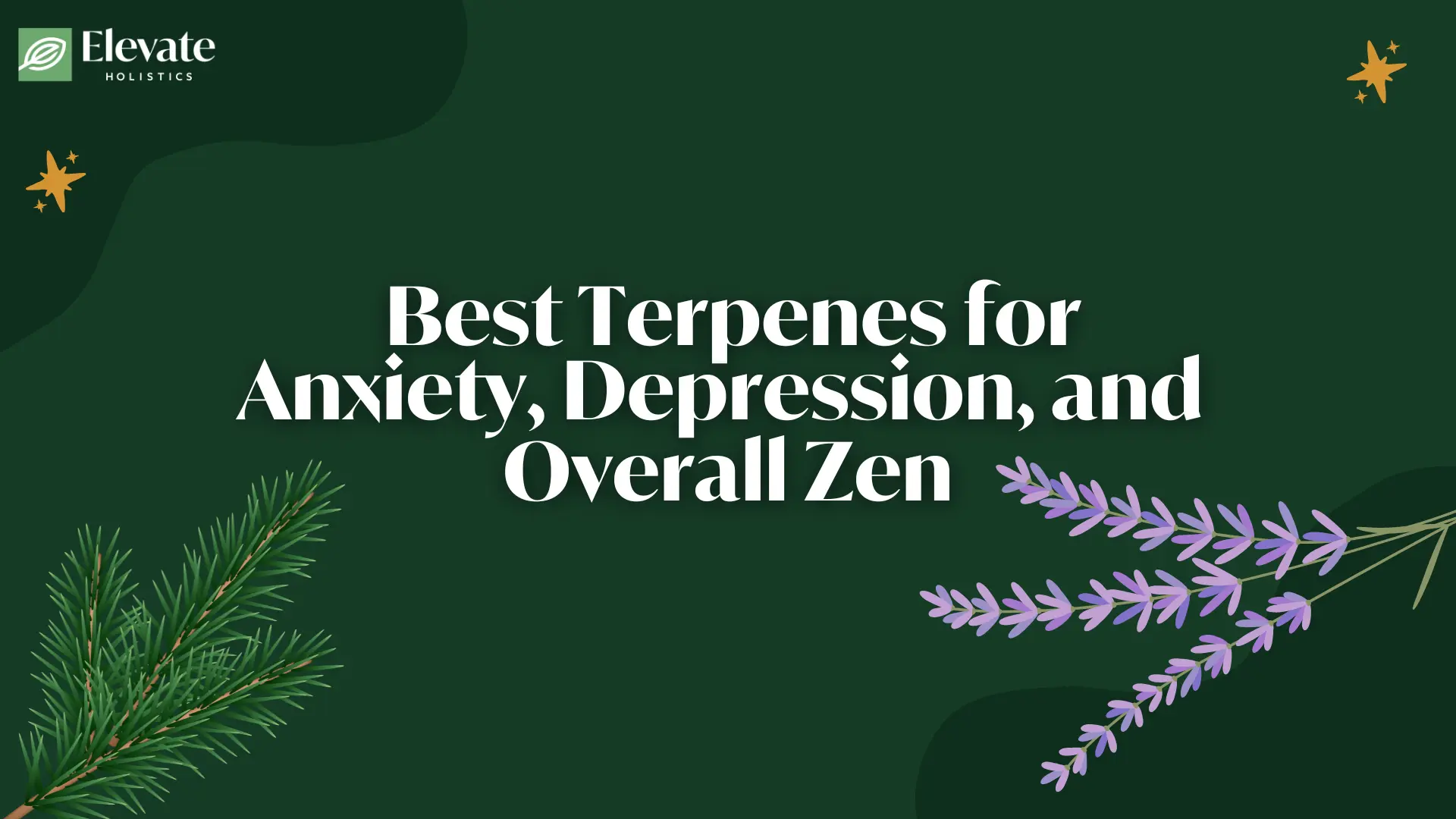 Best Terpenes For Anxiety, Depression & Overall Zen
