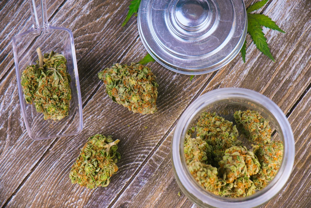 Cannabis flower in jars