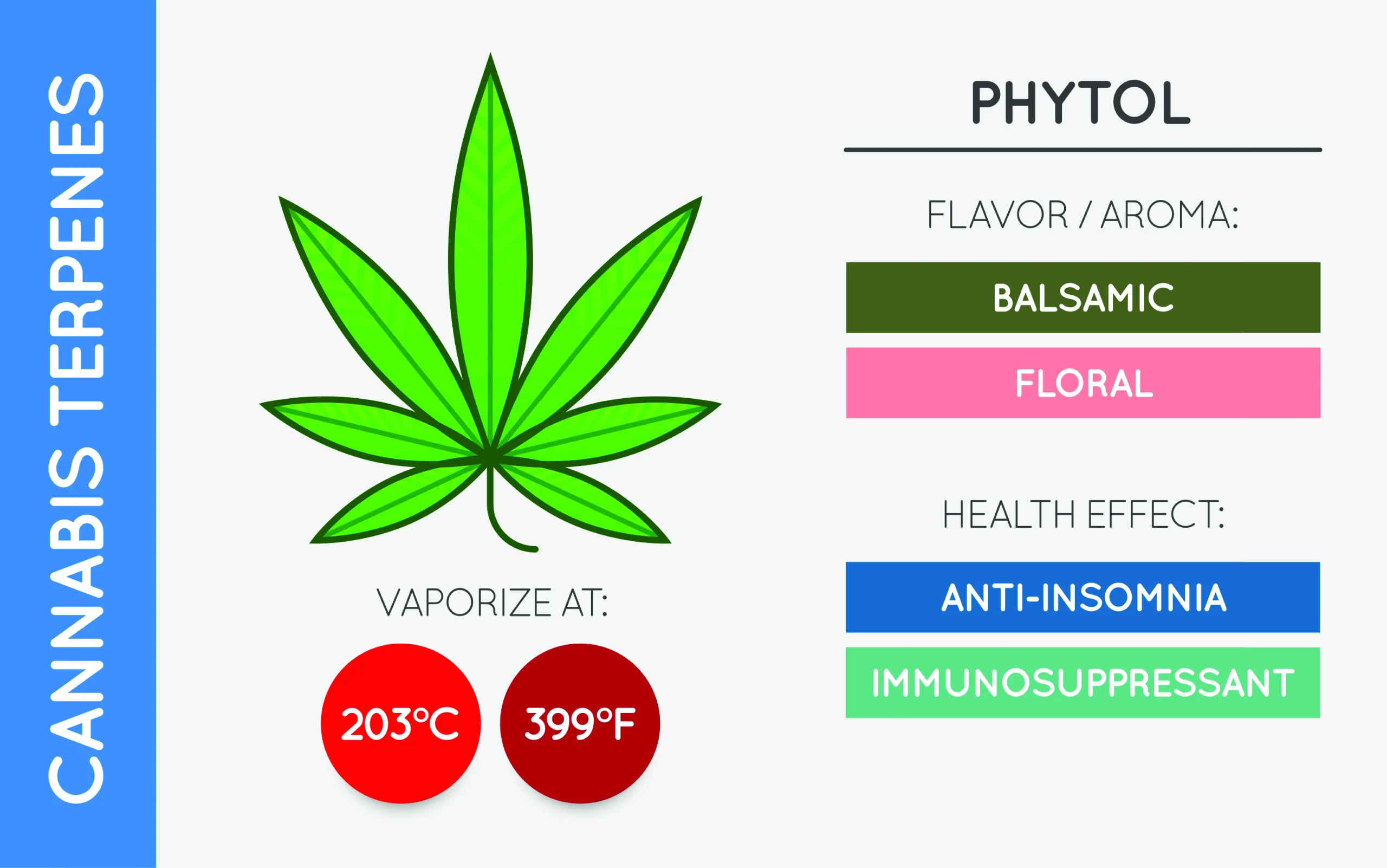 phytol terpene