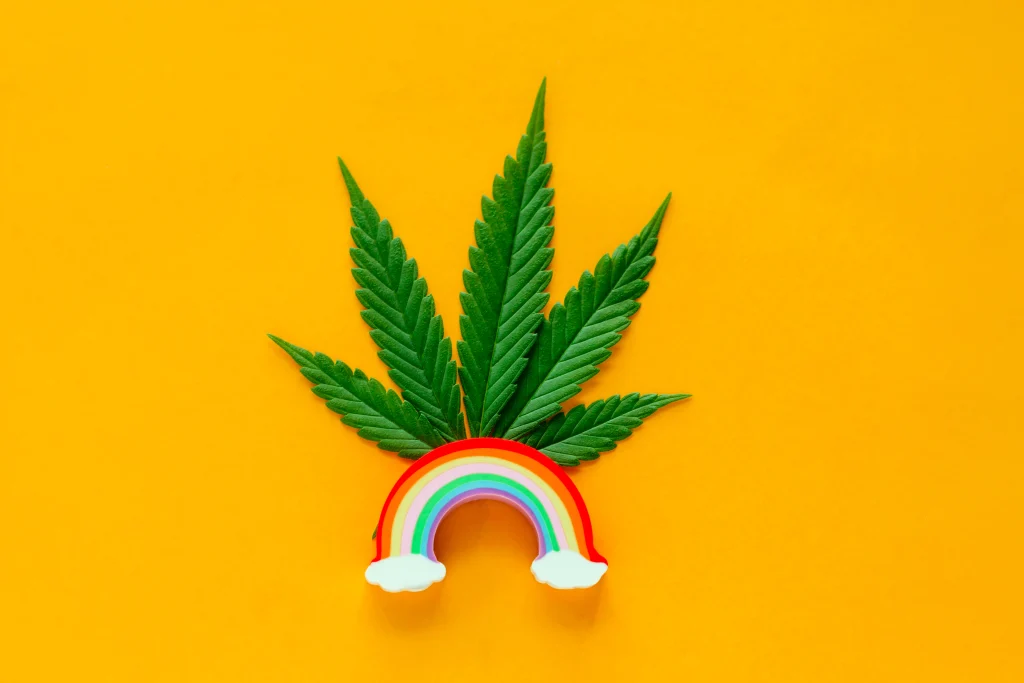 queer-owned cannabis brands