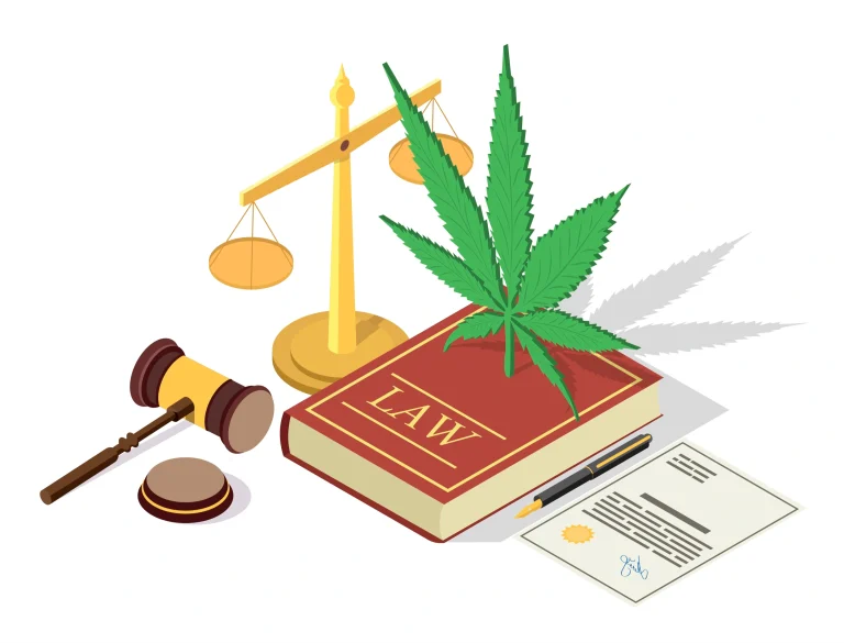 does marijuana legalization increase teen use