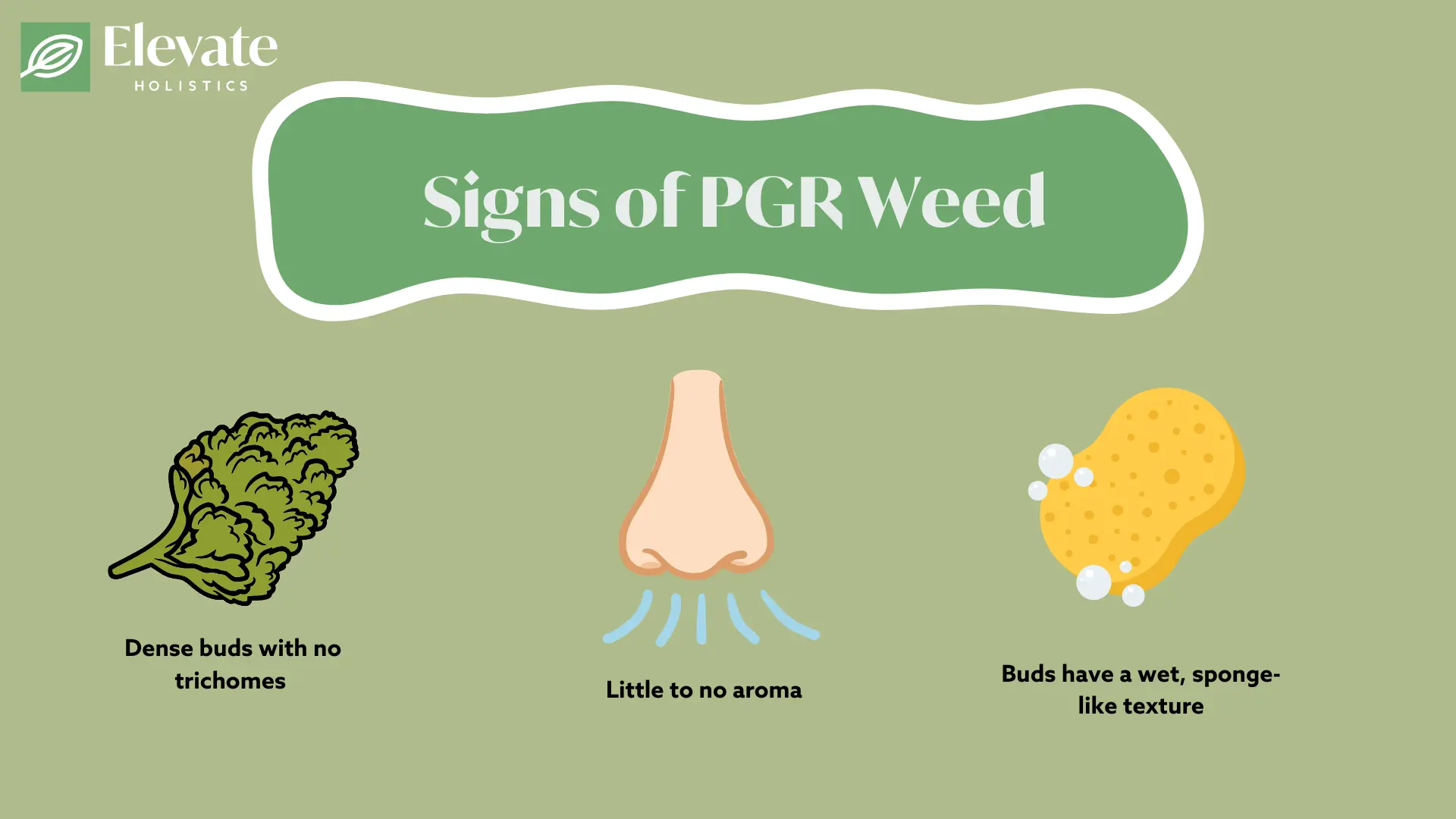 what is PGR weed