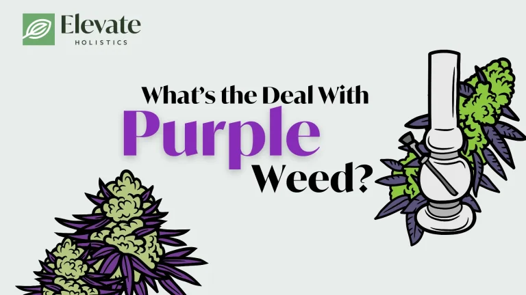 what's the deal with purple weed?