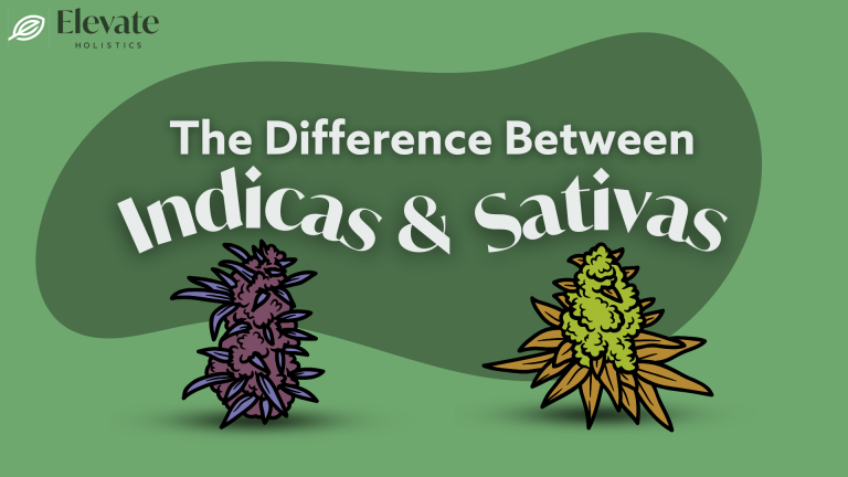 the difference between indica and sativa