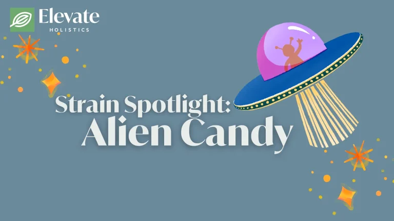 alien candy strain