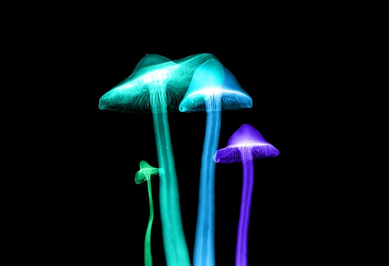 psychedelic mushrooms with unique lighting