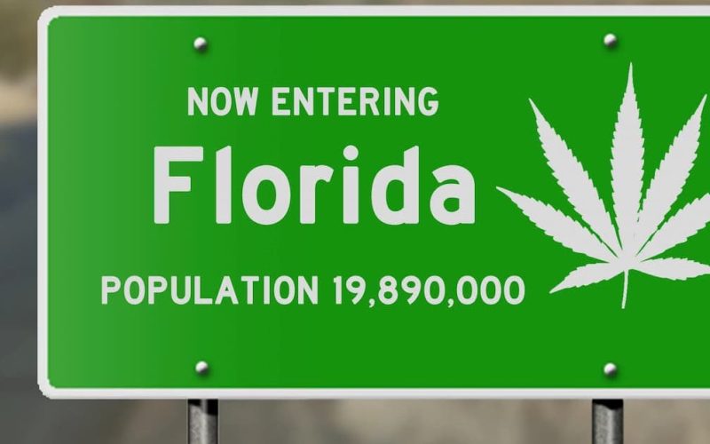 Florida marijuana laws