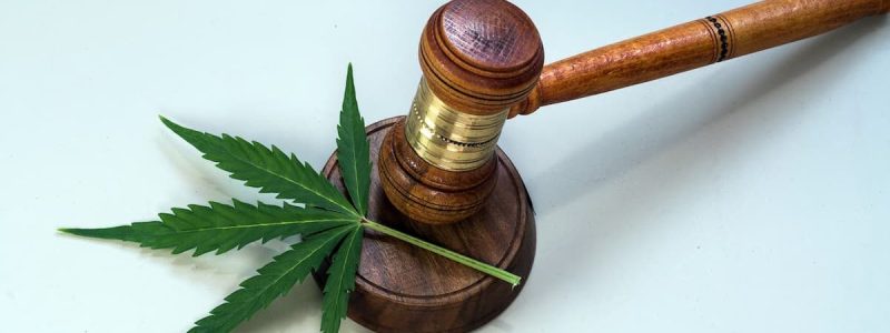 A Guide to Massachusetts Marijuana Laws