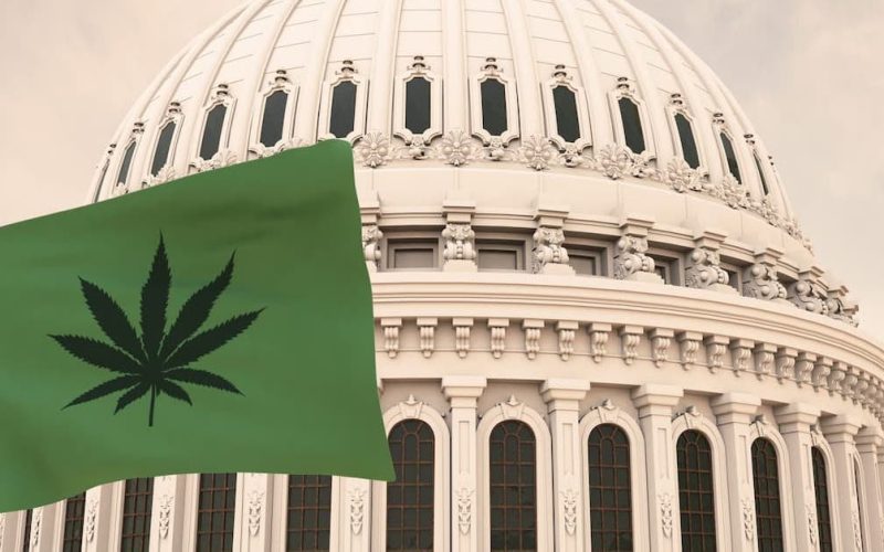 A guide to Washington DC Marijuana Laws